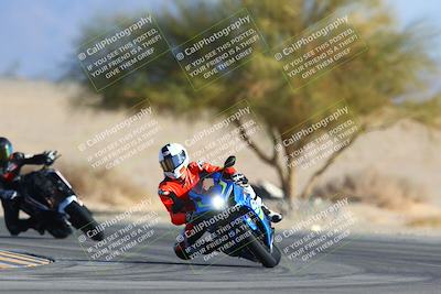 media/Jan-14-2024-SoCal Trackdays (Sun) [[2e55ec21a6]]/Turn 4 Tree of Life (155pm)/